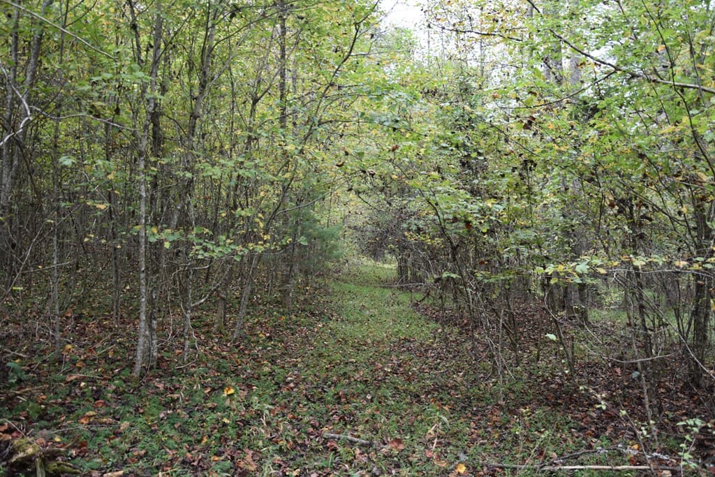 361 River Cove, Hayesville NC 28904 - Photo
