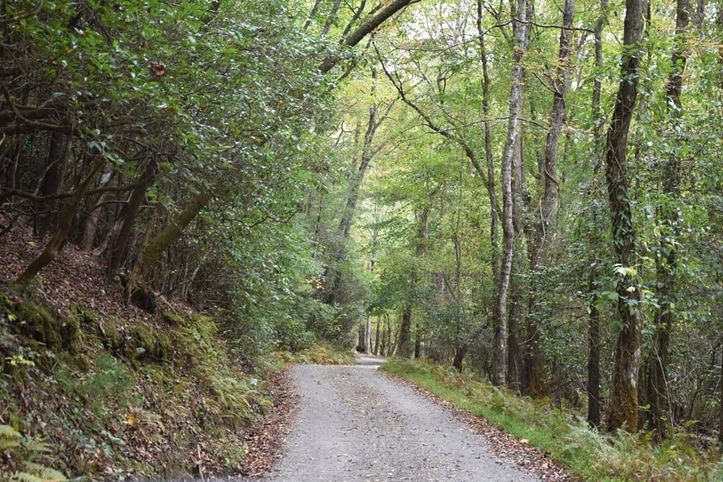 361 River Cove, Hayesville NC 28904 - Photo