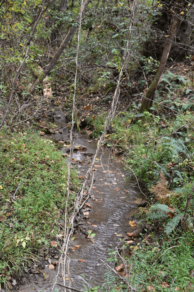 361 River Cove, Hayesville NC 28904 - Photo