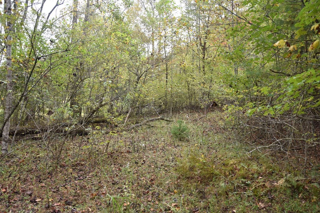 361 River Cove, Hayesville NC 28904 - Photo