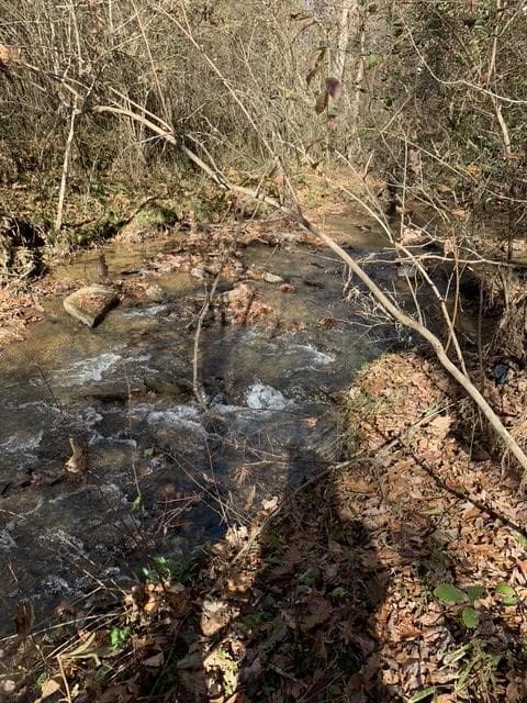Lot 95 Cedar Road, Ellijay GA 30540 - Photo