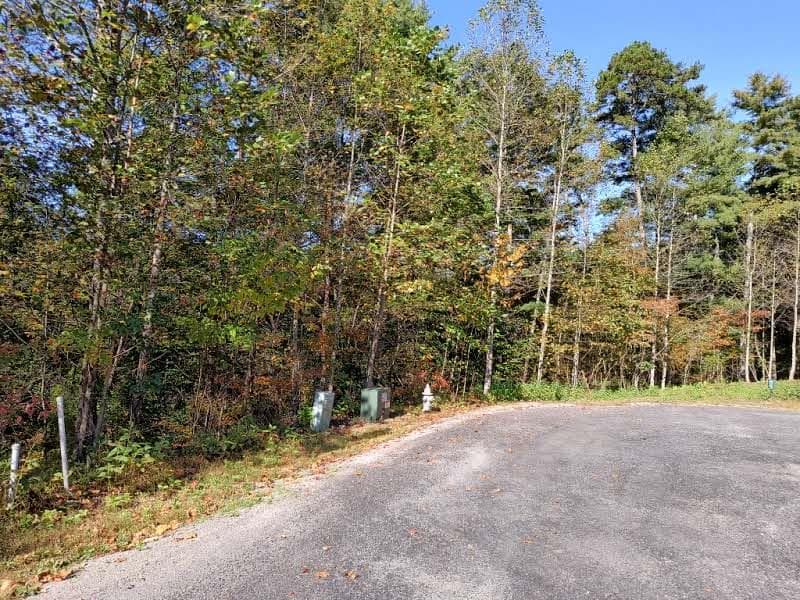Lot 95 Cedar Road, Ellijay GA 30540 - Photo