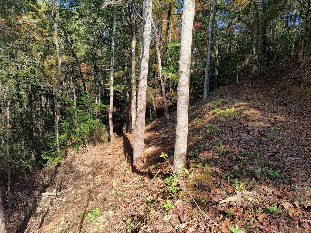 Lot 95 Cedar Road, Ellijay GA 30540 - Photo