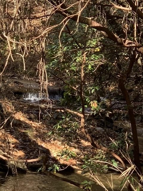 Lot 95 Cedar Road, Ellijay GA 30540 - Photo
