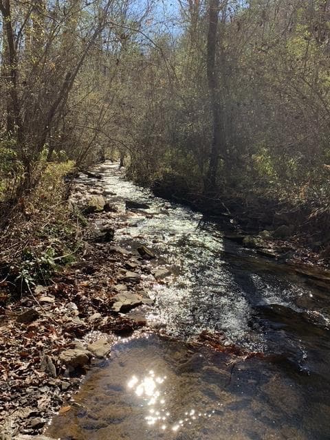 Lot 95 Cedar Road, Ellijay GA 30540 - Primary photo