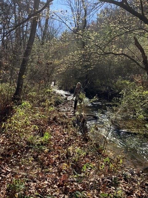 Lot 95 Cedar Road, Ellijay GA 30540 - Photo