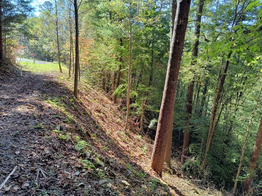 Lot 95 Cedar Road, Ellijay GA 30540 - Photo