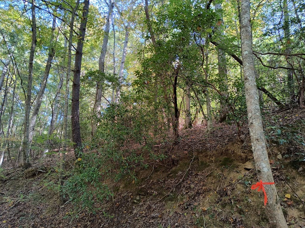 Lot 334 Cold Stream Court, Ellijay GA 30540 - Photo