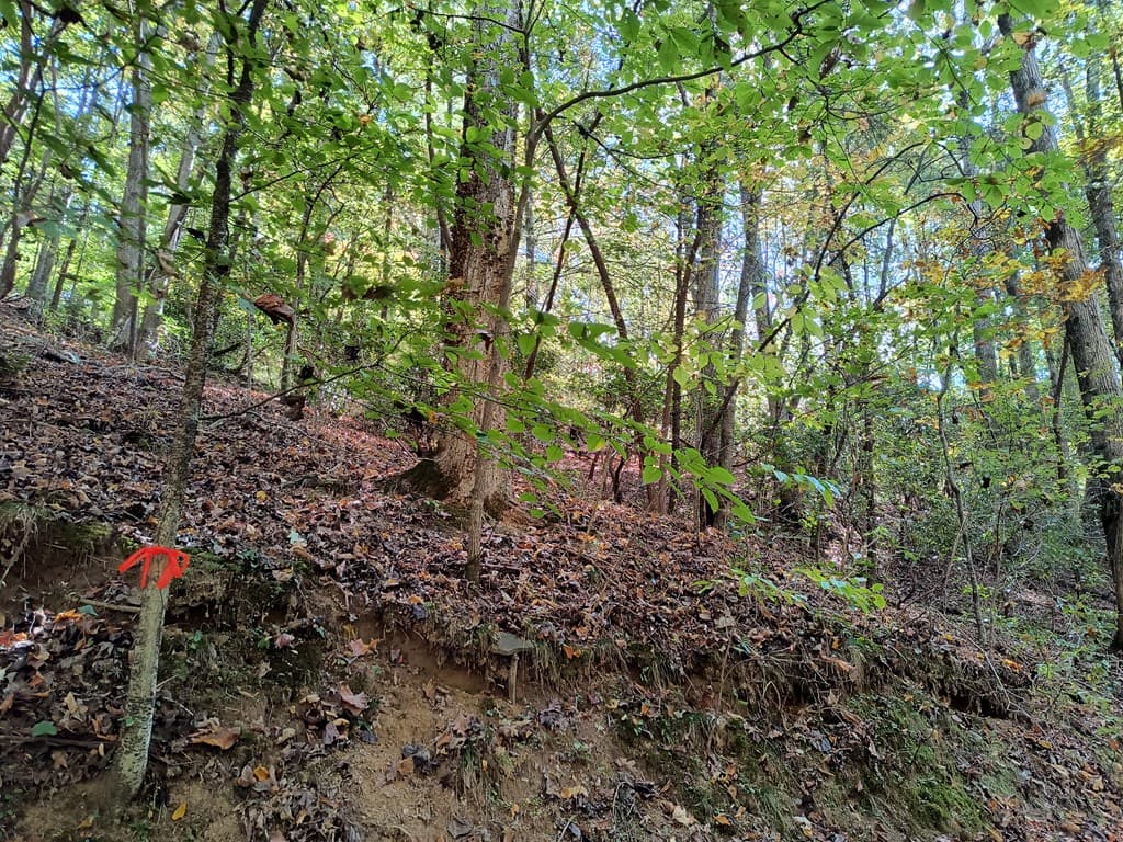 Lot 334 Cold Stream Court, Ellijay GA 30540 - Photo