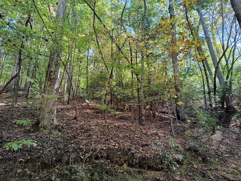 Lot 334 Cold Stream Court, Ellijay GA 30540 - Primary photo