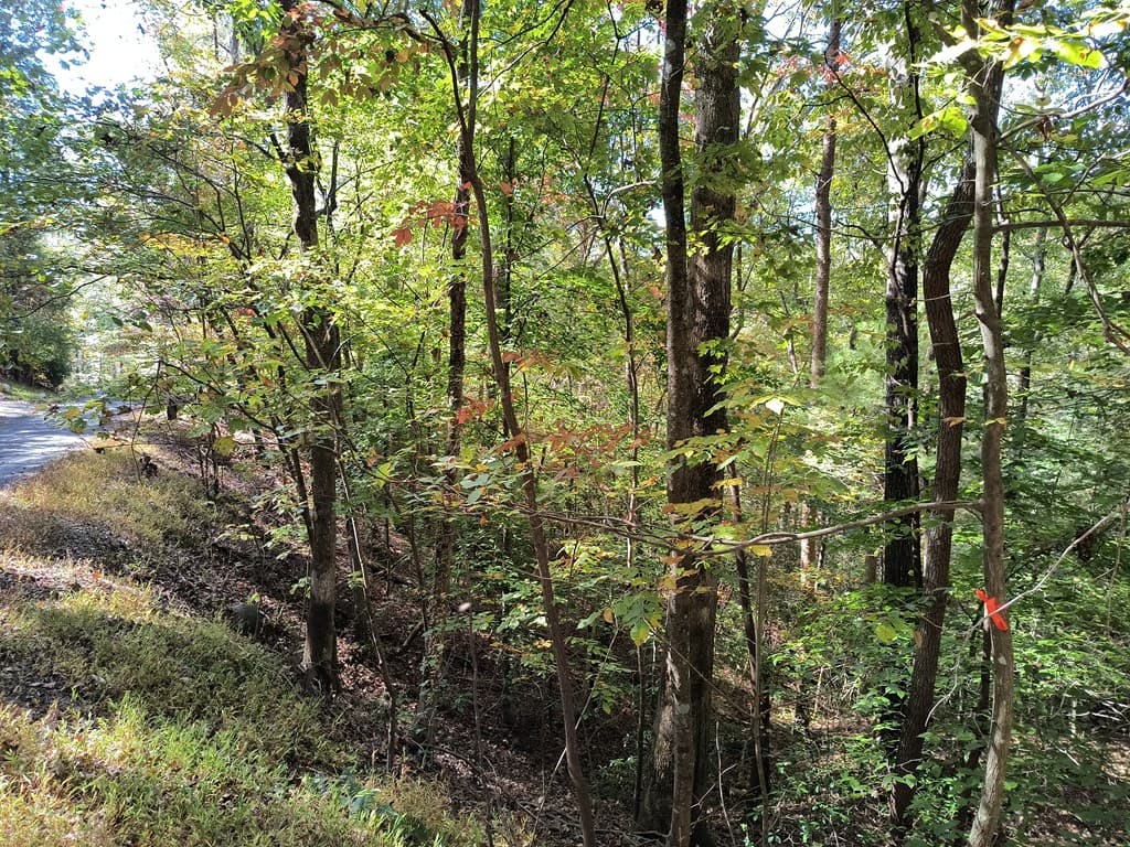 Lot 334 Cold Stream Court, Ellijay GA 30540 - Photo
