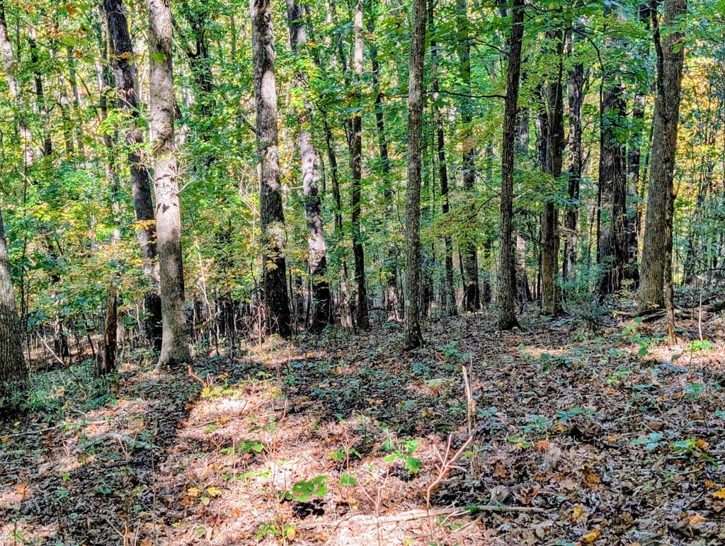 LOT 30 Rocky Knob Drive, Young Harris GA 30582 - Photo