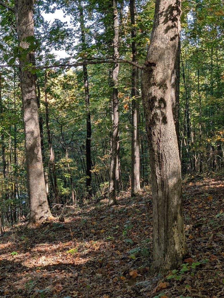 LOT 30 Rocky Knob Drive, Young Harris GA 30582 - Photo
