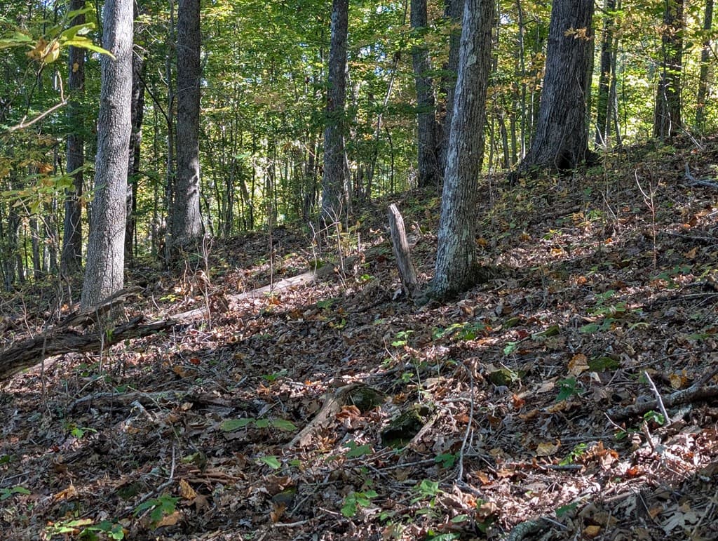 LOT 30 Rocky Knob Drive, Young Harris GA 30582 - Photo
