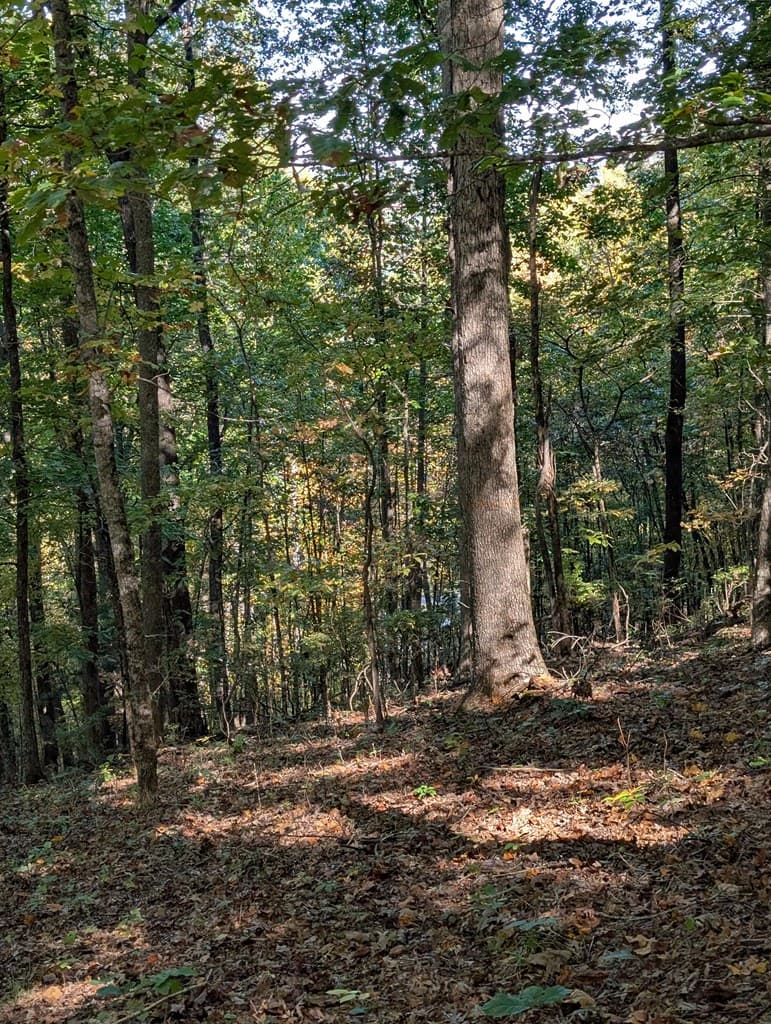 LOT 30 Rocky Knob Drive, Young Harris GA 30582 - Photo