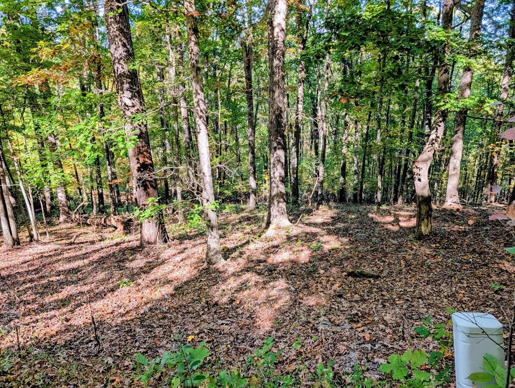 LOT 30 Rocky Knob Drive, Young Harris GA 30582 - Primary photo