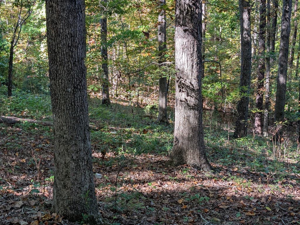 LOT 30 Rocky Knob Drive, Young Harris GA 30582 - Photo