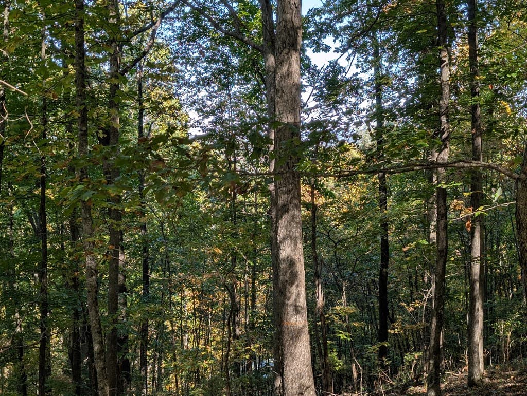 LOT 30 Rocky Knob Drive, Young Harris GA 30582 - Photo