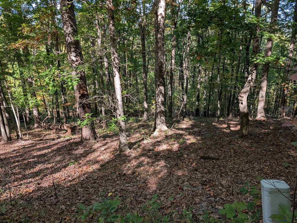 LOT 30 Rocky Knob Drive, Young Harris GA 30582 - Photo