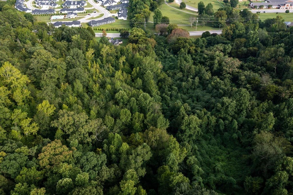 1123 Mountain Creek Road, Chattanooga TN 37405 - Photo
