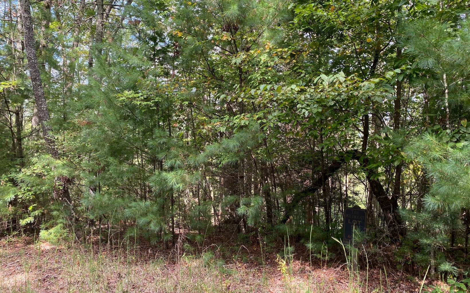 Lot 58 Gobblers Knob, Suches GA 30572 - Photo