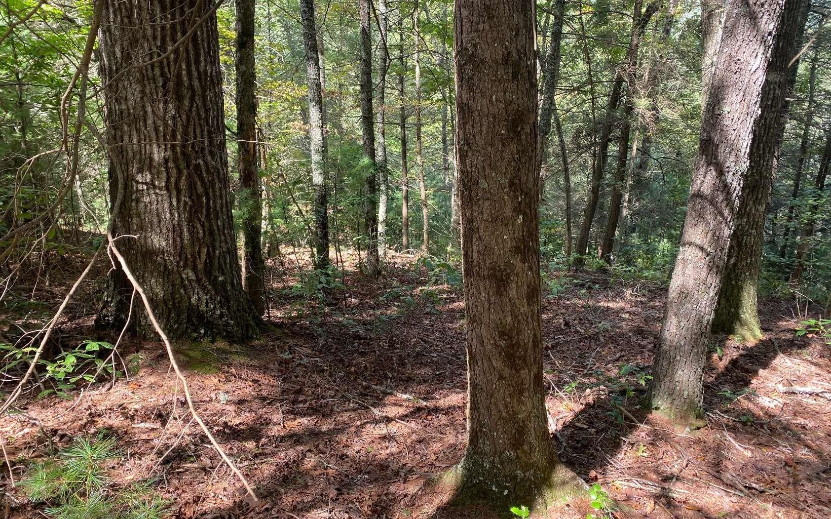 Lot 58 Gobblers Knob, Suches GA 30572 - Photo