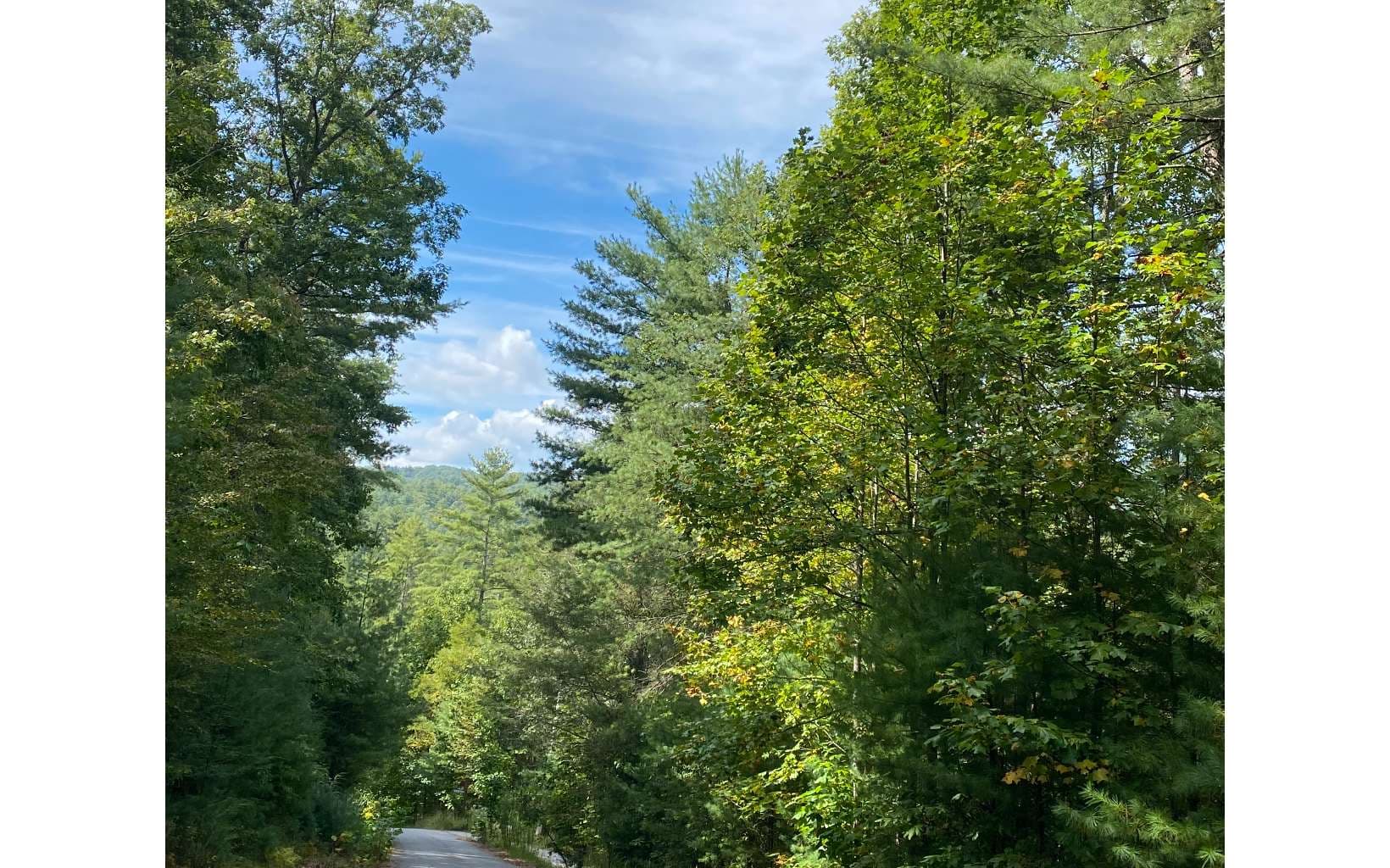 Lot 58 Gobblers Knob, Suches GA 30572 - Photo
