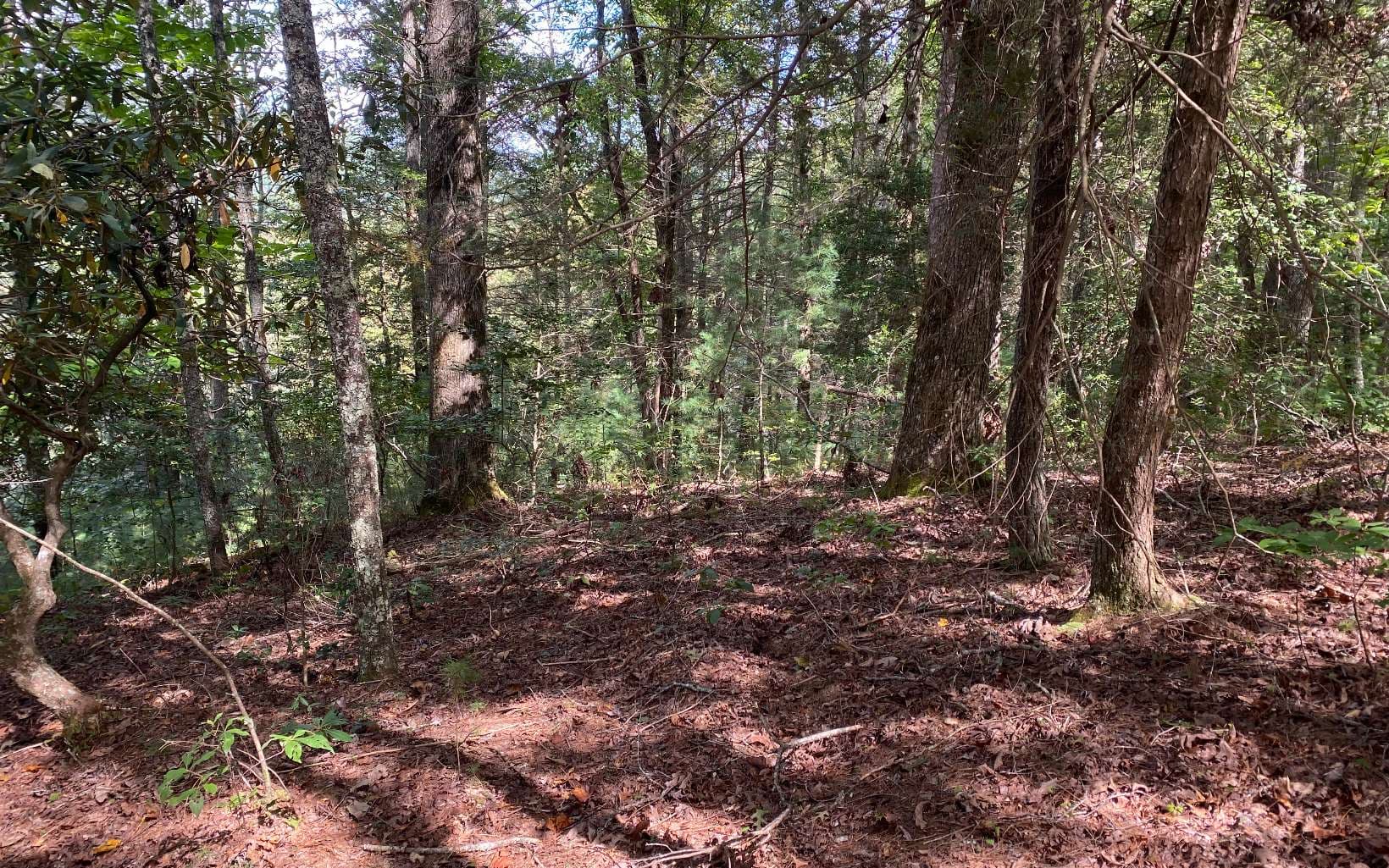 Lot 58 Gobblers Knob, Suches GA 30572 - Photo
