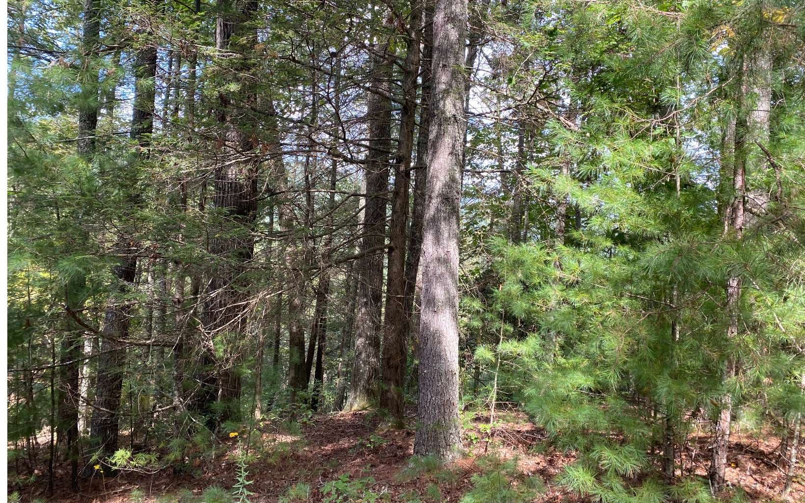 Lot 58 Gobblers Knob, Suches GA 30572 - Photo