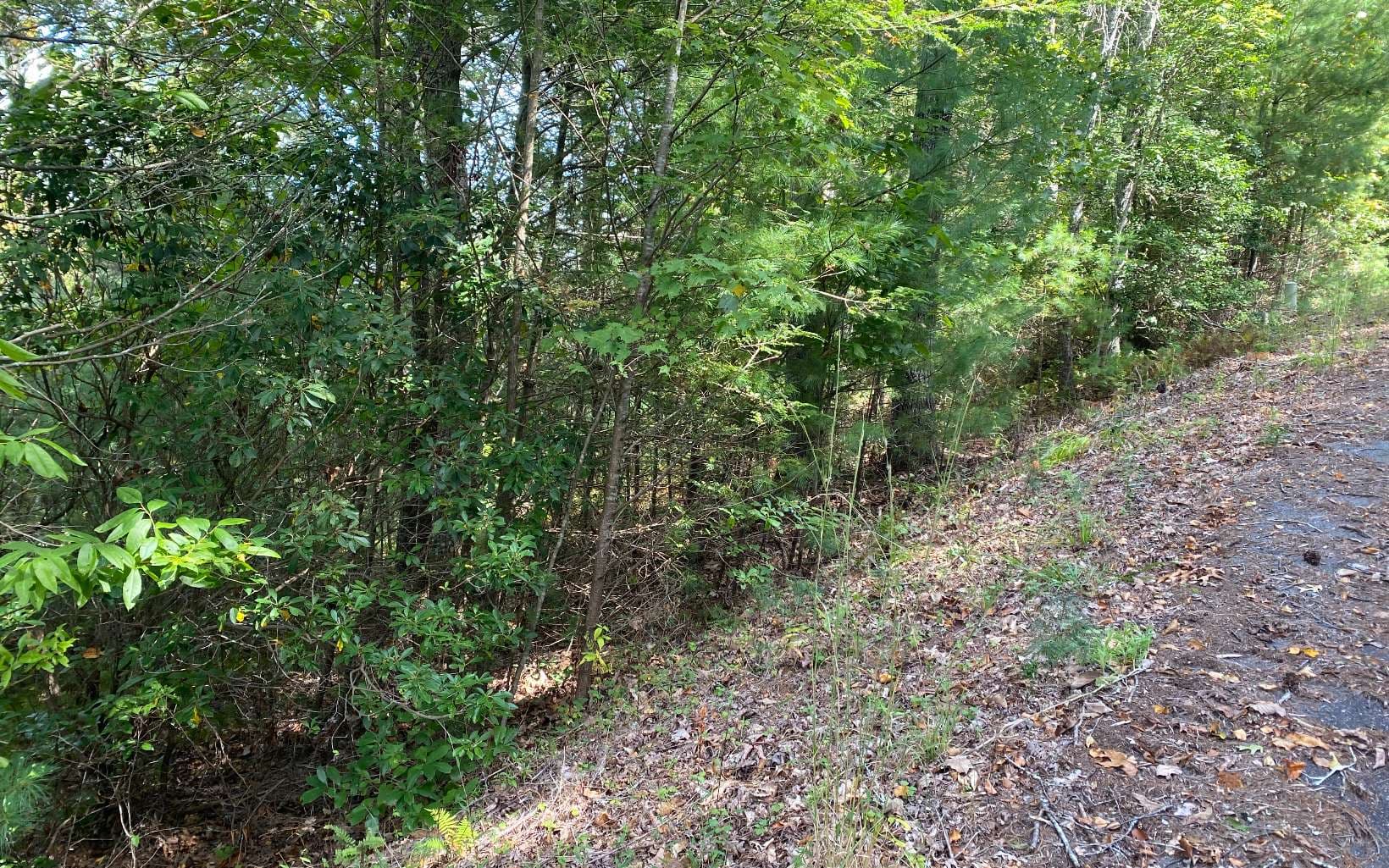 Lot 58 Gobblers Knob, Suches GA 30572 - Photo