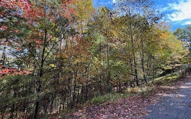 Lt 56,57 Hemlock Heights, Suches GA 30572 - Photo