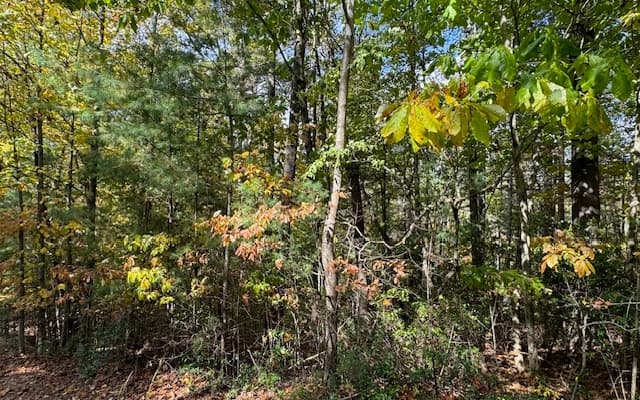 Lt 56,57 Hemlock Heights, Suches GA 30572 - Photo