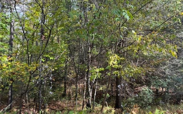 Lt 56,57 Hemlock Heights, Suches GA 30572 - Photo