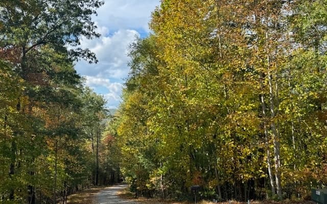 Lt 56,57 Hemlock Heights, Suches GA 30572 - Photo