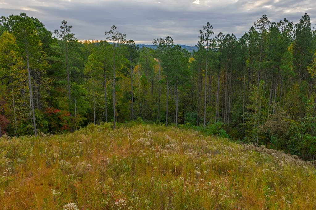 Lot 224 West Vista Ridge Parkway, Talking Rock GA 30175 - Photo