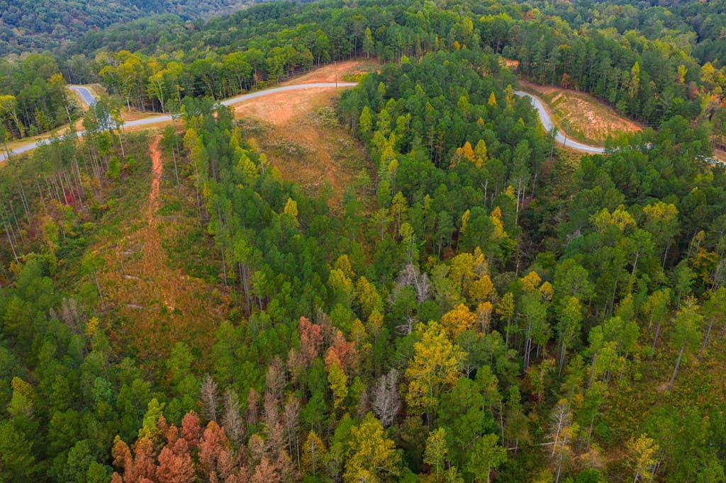 Lot 224 West Vista Ridge Parkway, Talking Rock GA 30175 - Photo