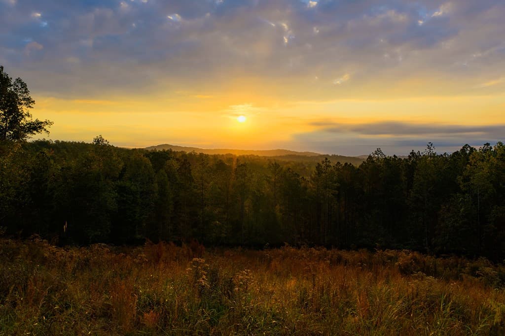 Lot 224 West Vista Ridge Parkway, Talking Rock GA 30175 - Photo