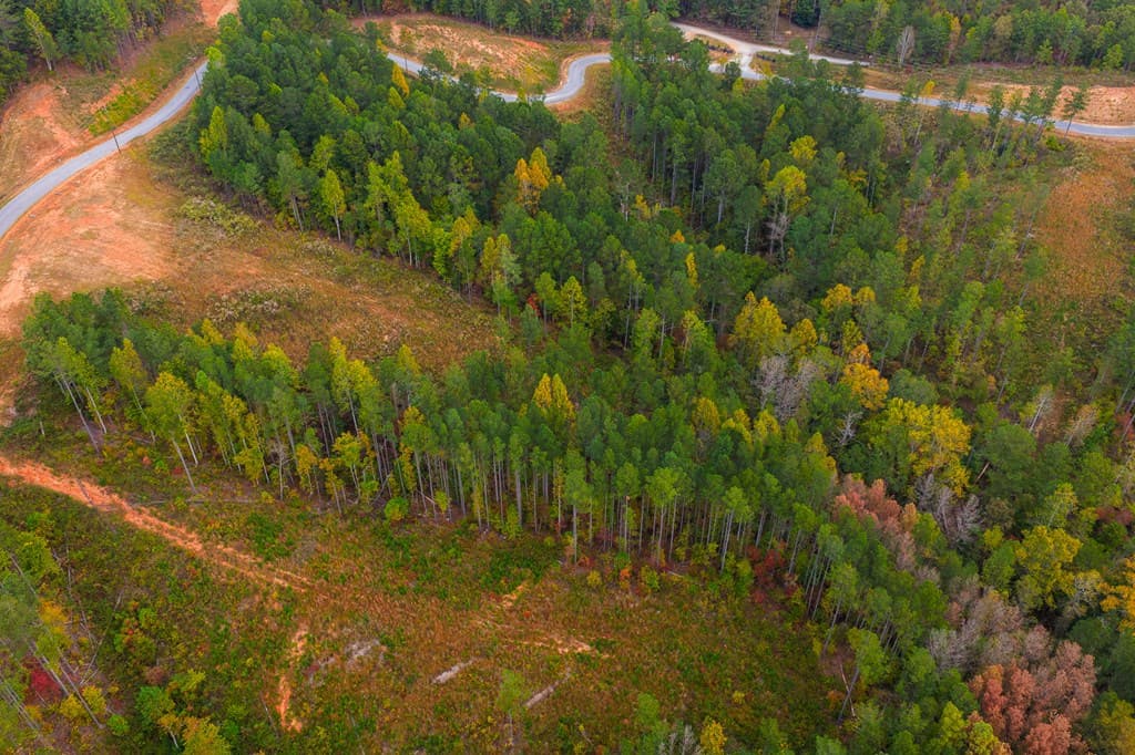 Lot 224 West Vista Ridge Parkway, Talking Rock GA 30175 - Photo