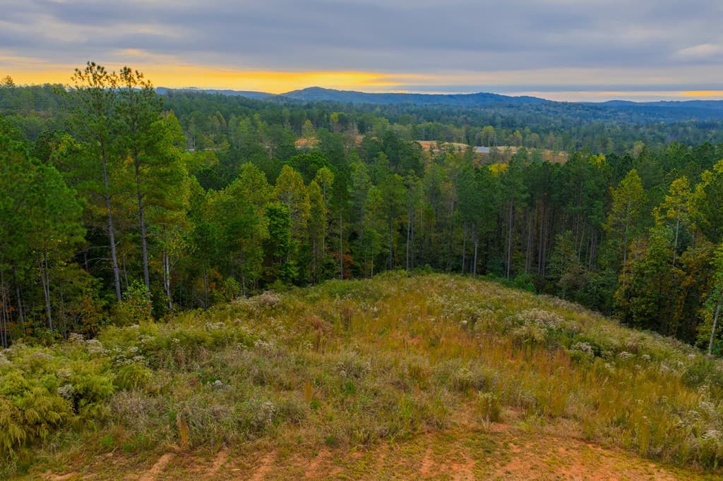 Lot 224 West Vista Ridge Parkway, Talking Rock GA 30175 - Photo