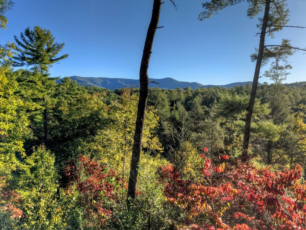 12.64 AC Harrison Sluder Road, Ellijay GA 30540 - Photo