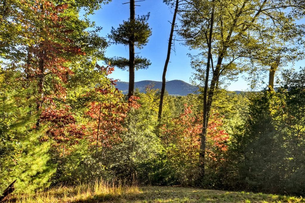 12.64 AC Harrison Sluder Road, Ellijay GA 30540 - Photo