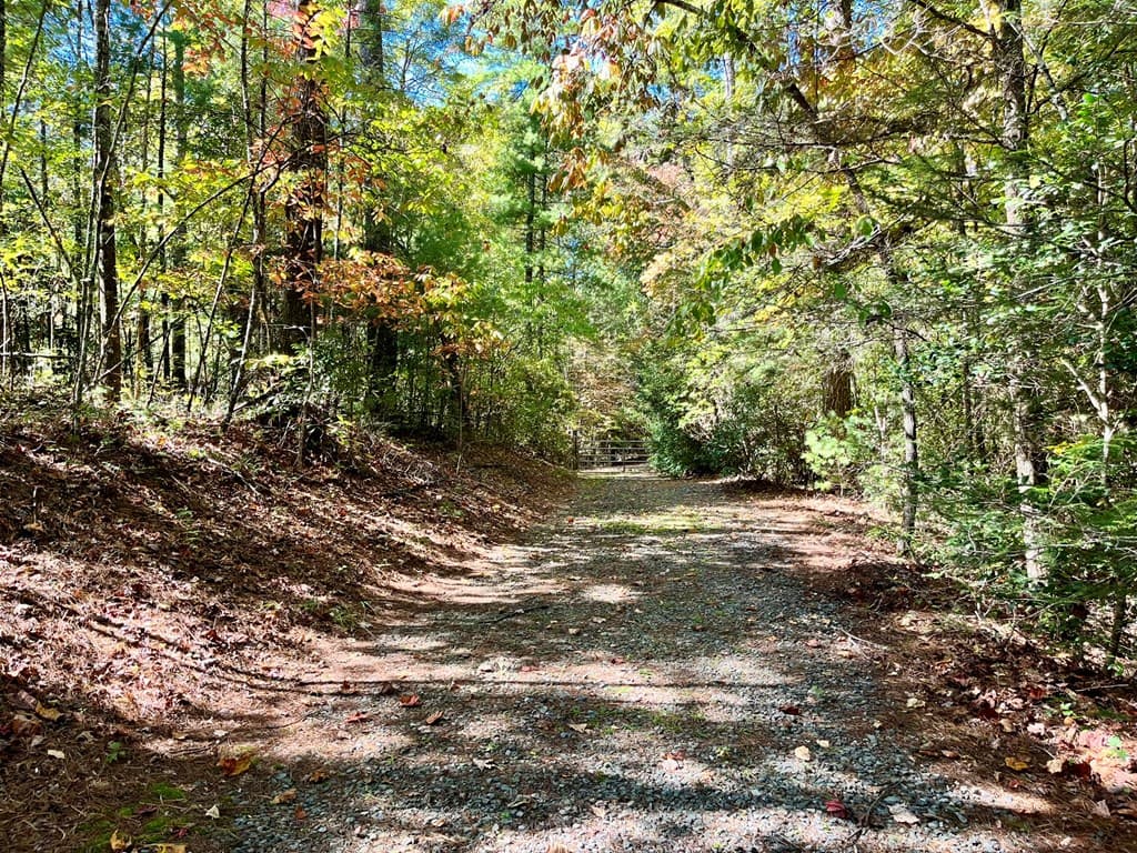 12.64 AC Harrison Sluder Road, Ellijay GA 30540 - Photo