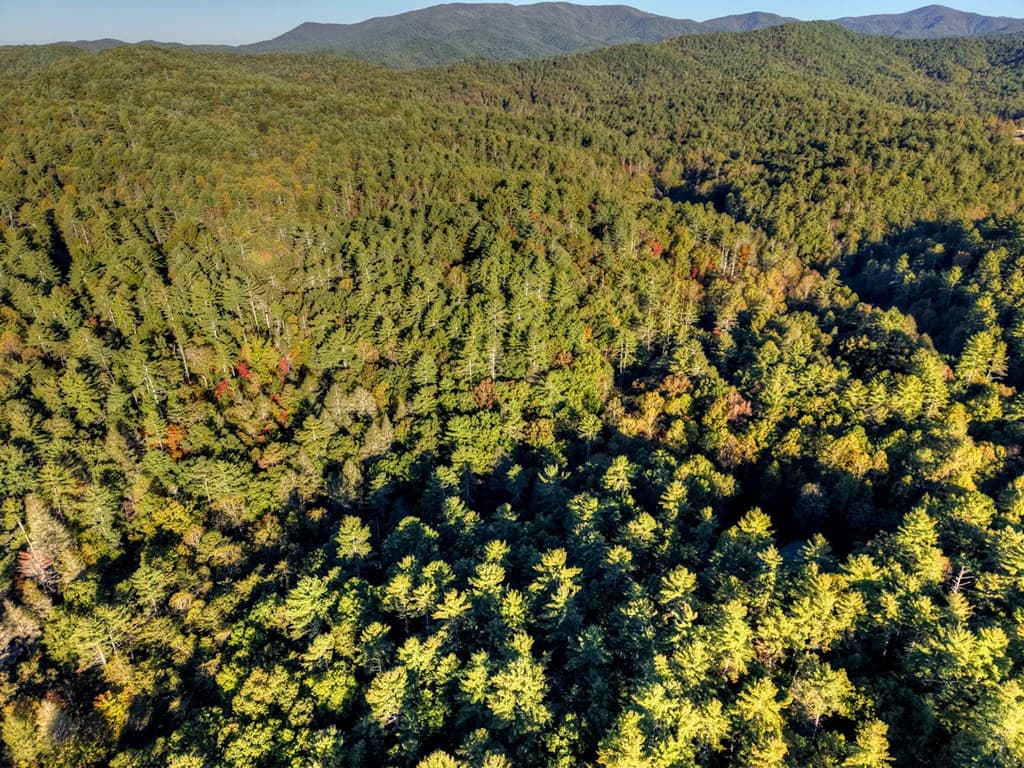 12.64 AC Harrison Sluder Road, Ellijay GA 30540 - Photo