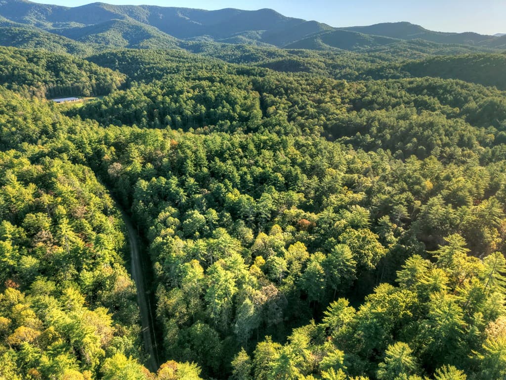 12.64 AC Harrison Sluder Road, Ellijay GA 30540 - Photo