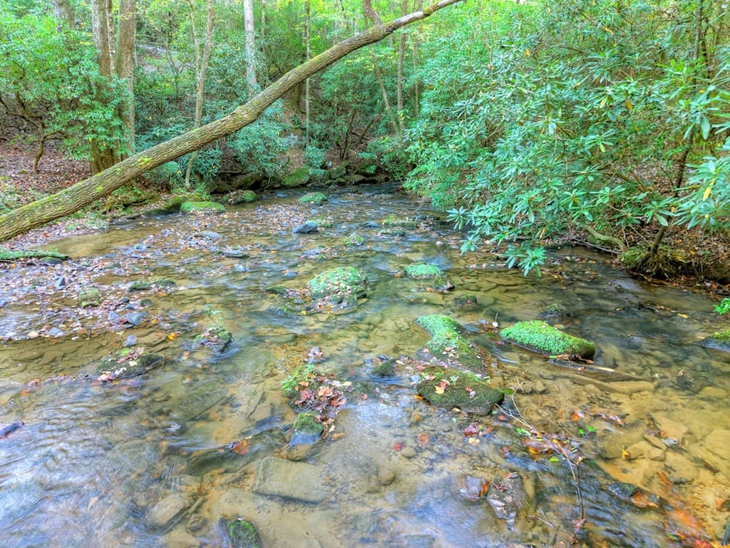 12.64 AC Harrison Sluder Road, Ellijay GA 30540 - Photo