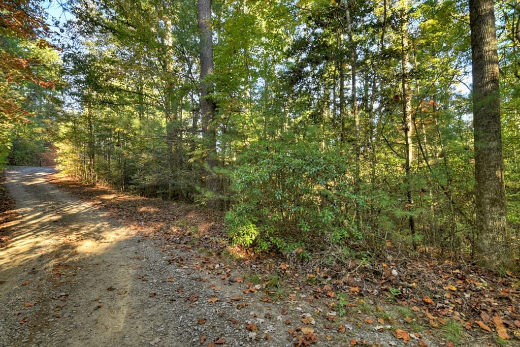12.64 AC Harrison Sluder Road, Ellijay GA 30540 - Photo