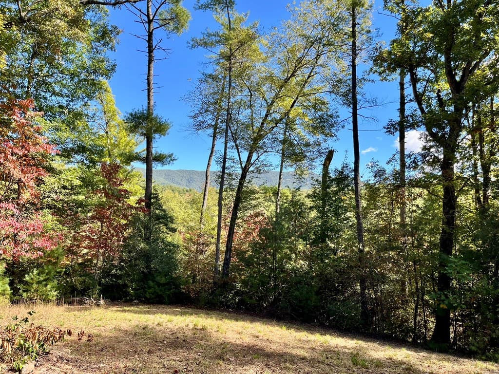 12.64 AC Harrison Sluder Road, Ellijay GA 30540 - Photo