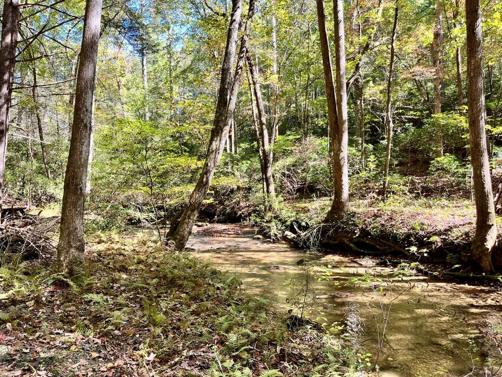 12.64 AC Harrison Sluder Road, Ellijay GA 30540 - Photo