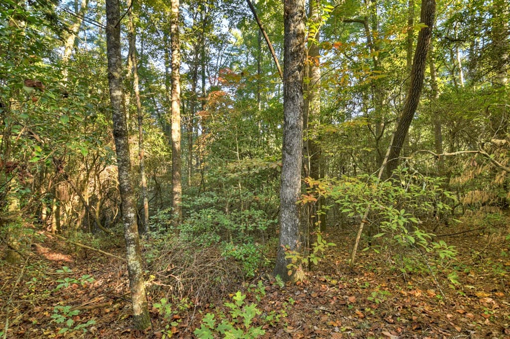 12.64 AC Harrison Sluder Road, Ellijay GA 30540 - Photo