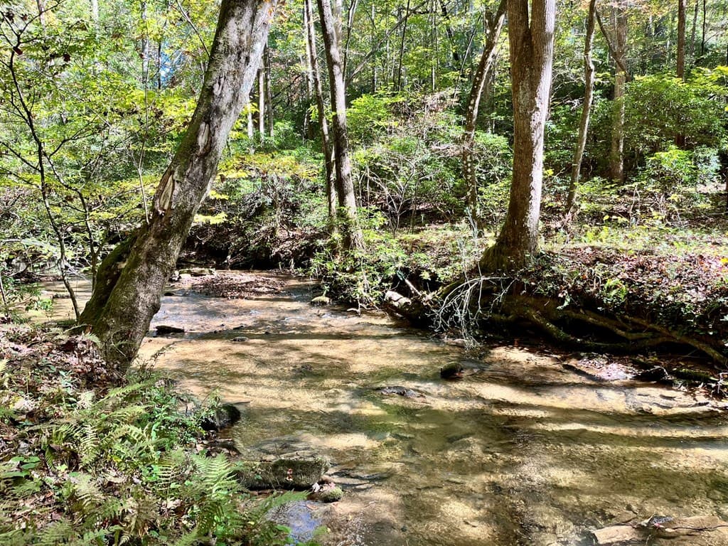 12.64 AC Harrison Sluder Road, Ellijay GA 30540 - Photo